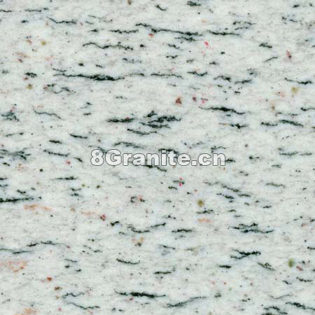 美国白麻 (Gardenia White)