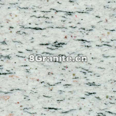 美国白麻, Gardenia White 美国白麻, Gardenia White